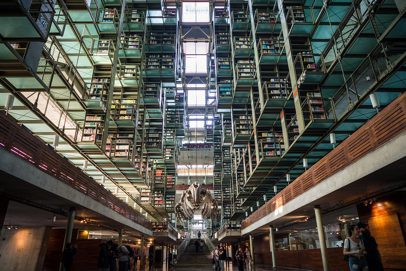 Biblioteca Vasconcelos: My Quiet Escape in Mexico City