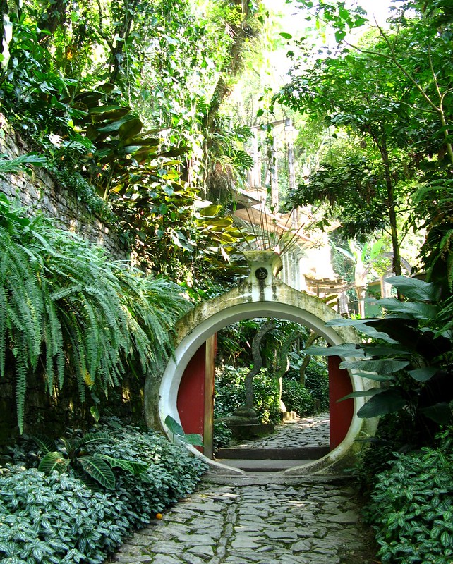 Las Pozas Surrealist Garden: Mexico’s Hidden Escape