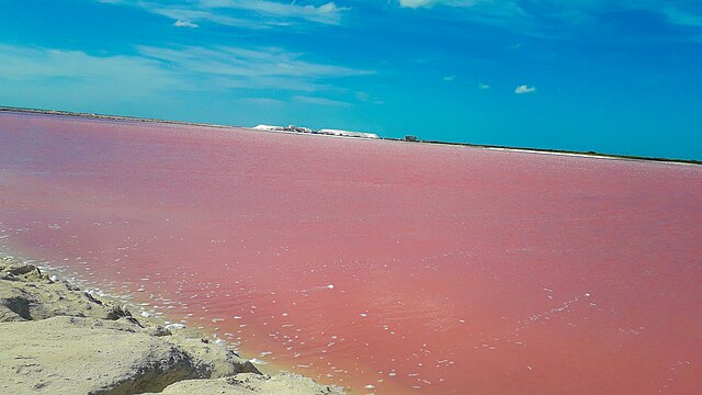 Las Coloradas Mexico: Discover the Stunning Pink Lagoon